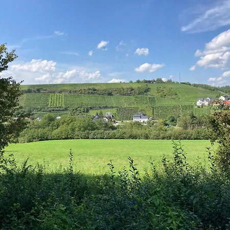 Holiday home Beautiful With Terrace Nattenheim